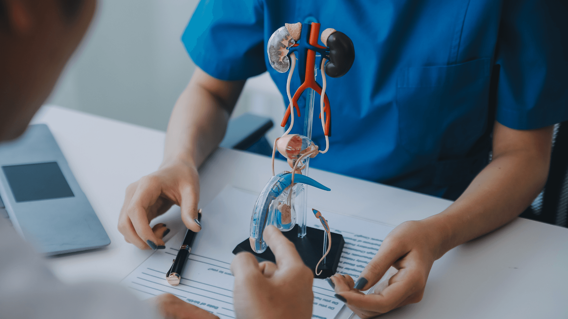 Urology